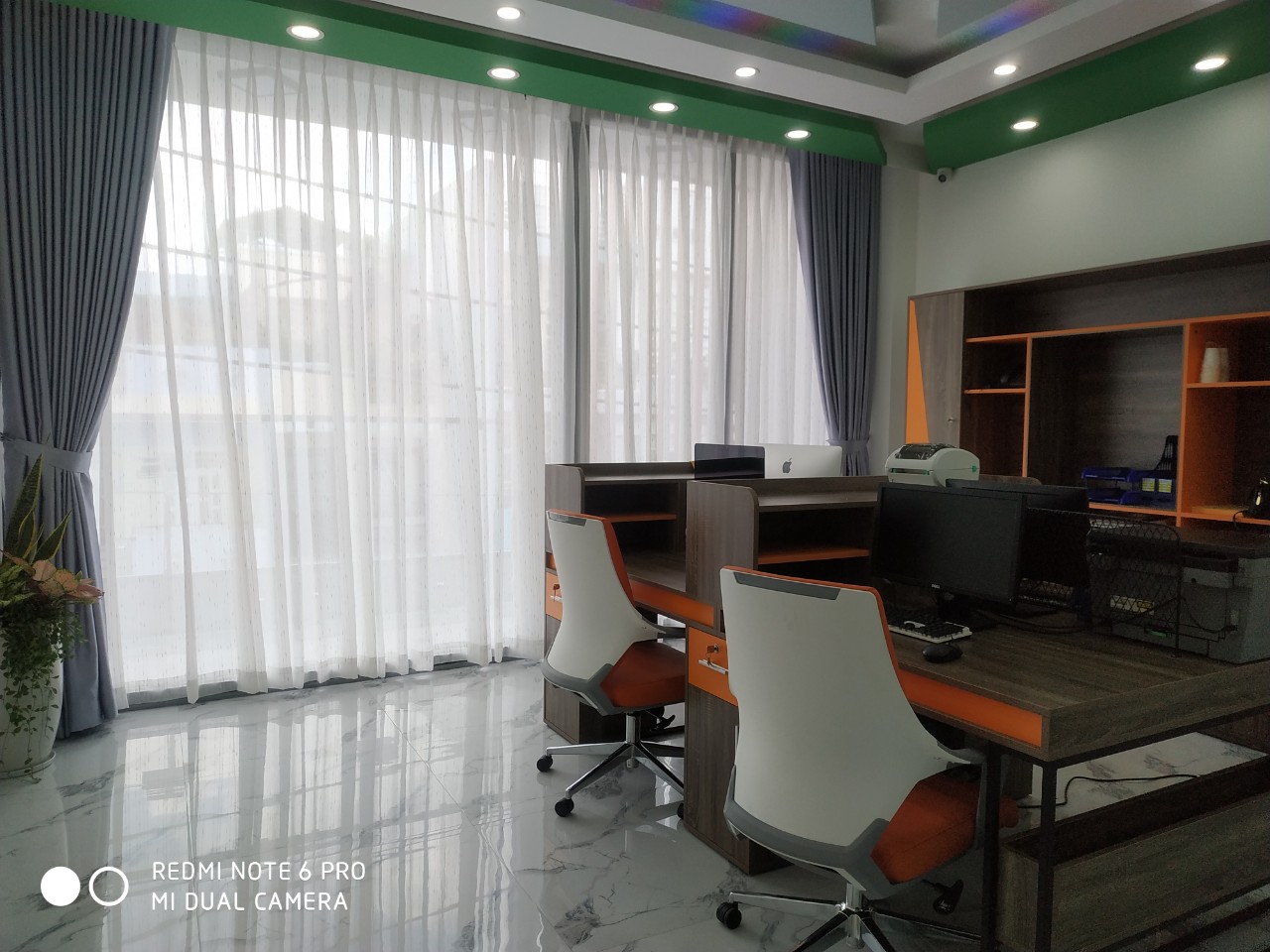 lĩnh vực hoạt động